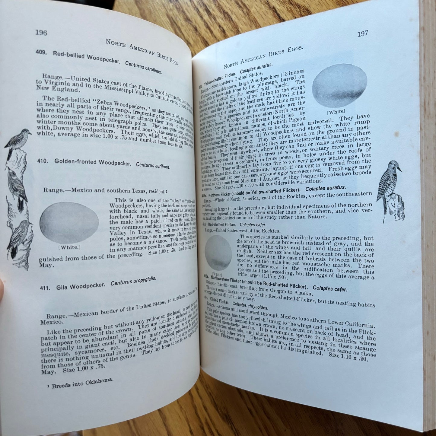 Chester A. Reed - North American Bird Eggs
