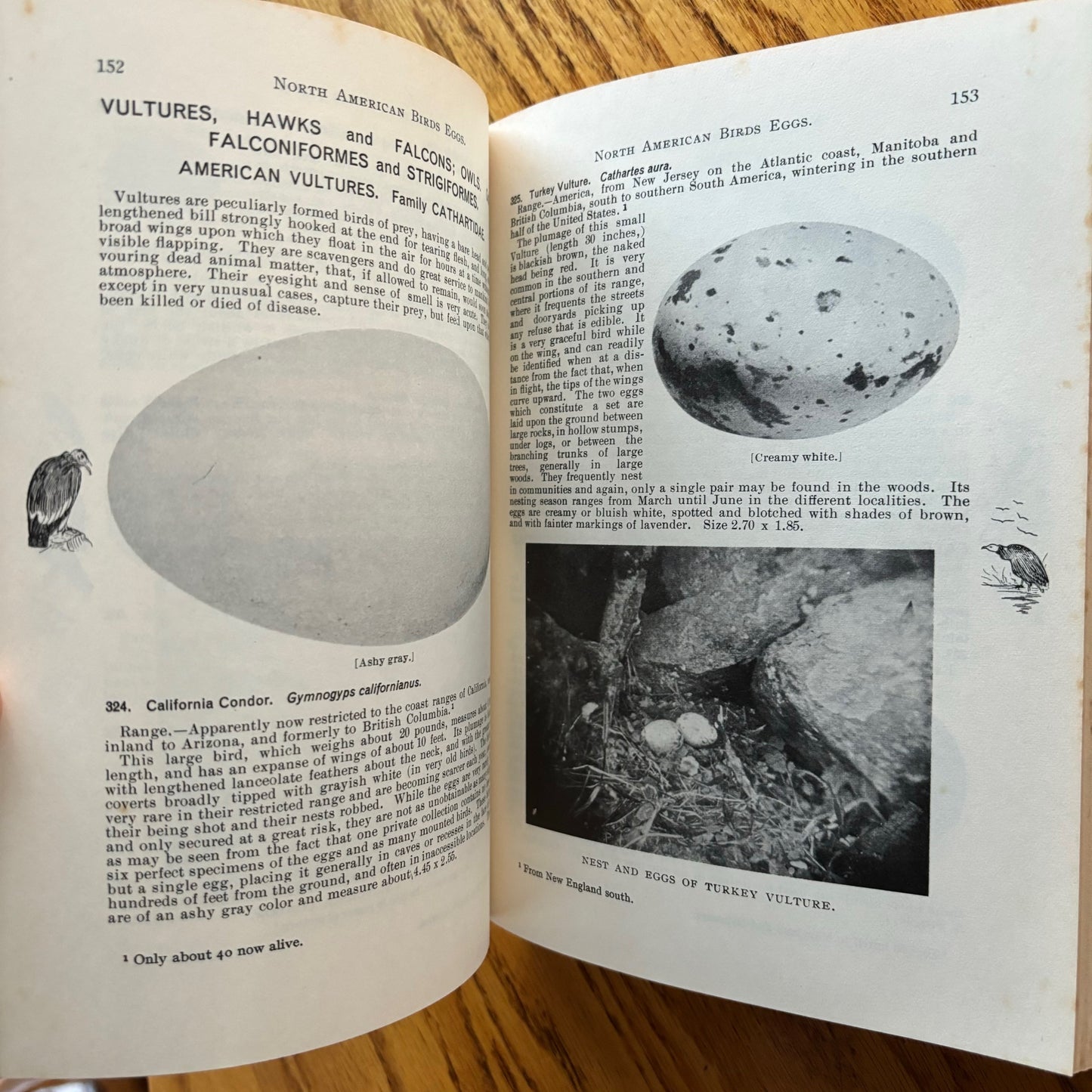 Chester A. Reed - North American Bird Eggs