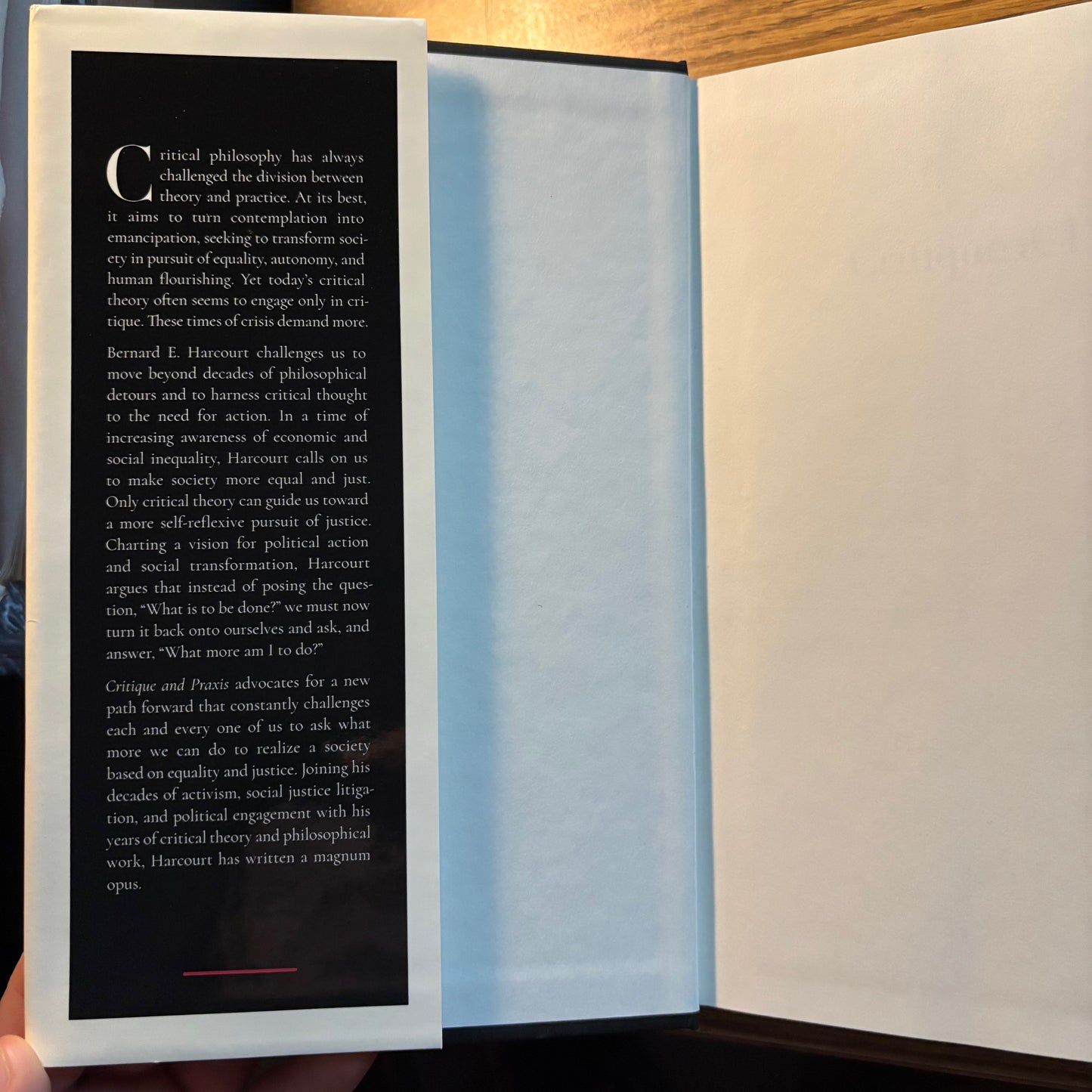 Bernard E. Harcourt - Critique & Praxis - First Edition