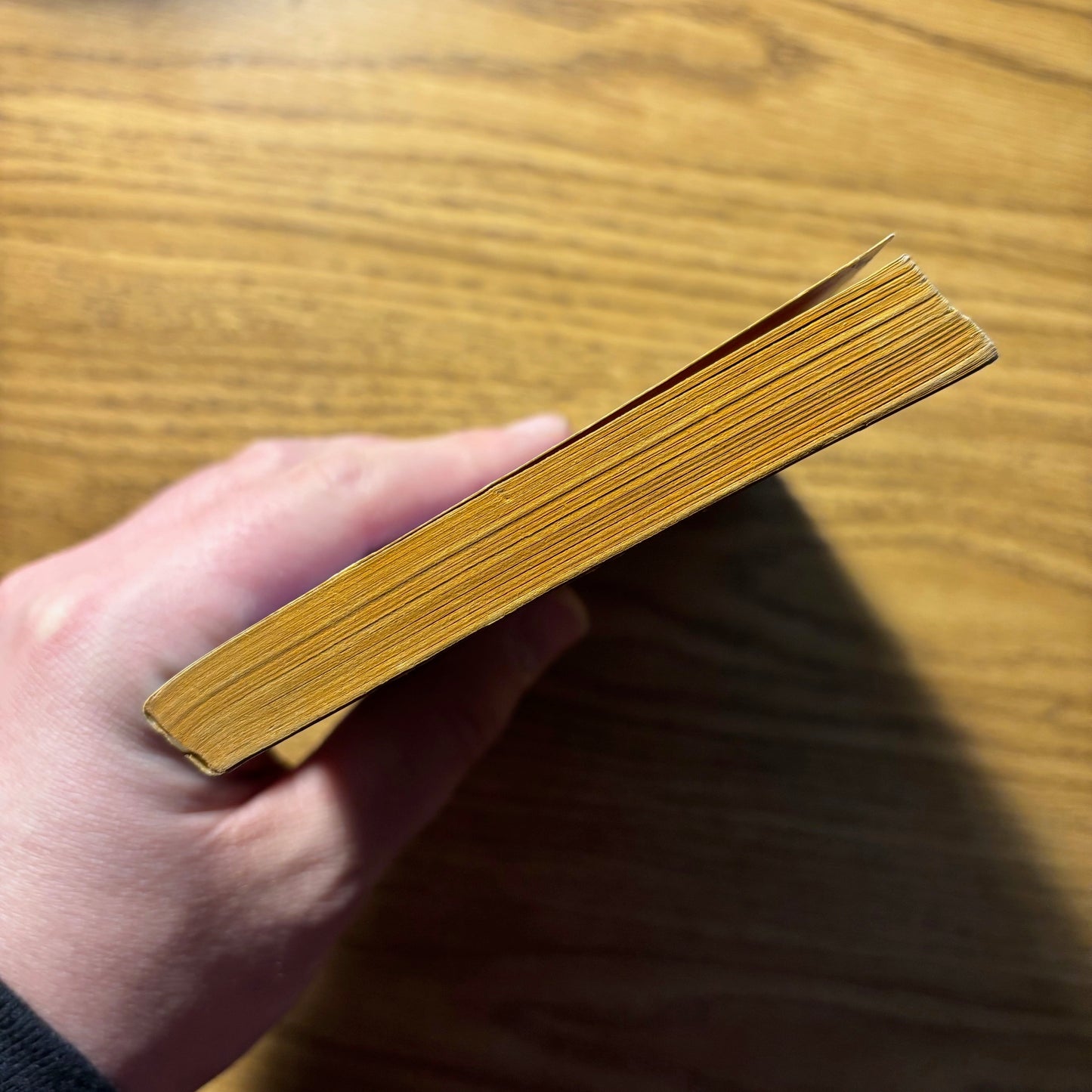 Robert Goldston - Satan's Disciples - First Edition