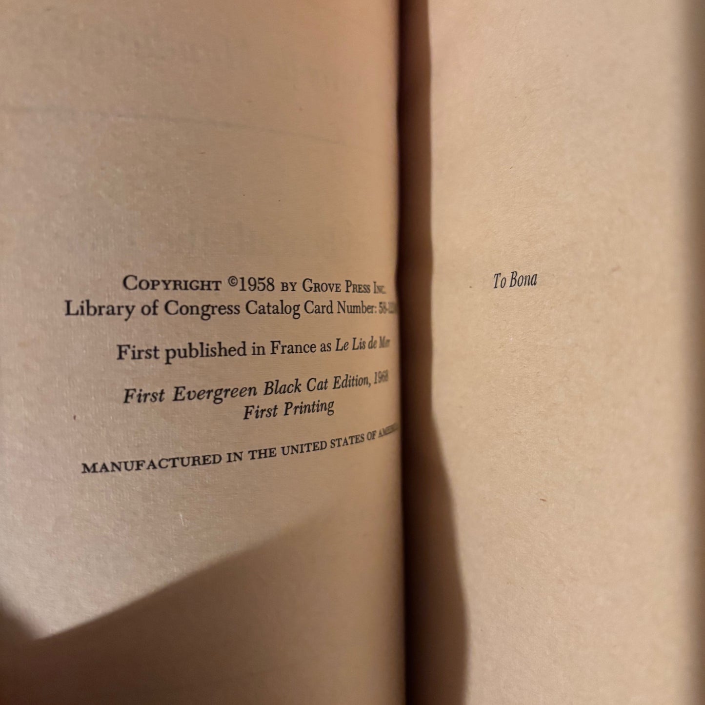 Andre Pieyre de Mandiargues - The Girl Beneath the Lion - First Edition Paperback