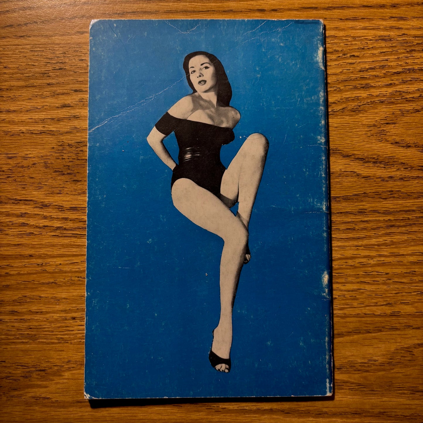 A Daring Figure: A Photographers Guide in Modeling: Special Edition: The Enchanting Carole Anthony
