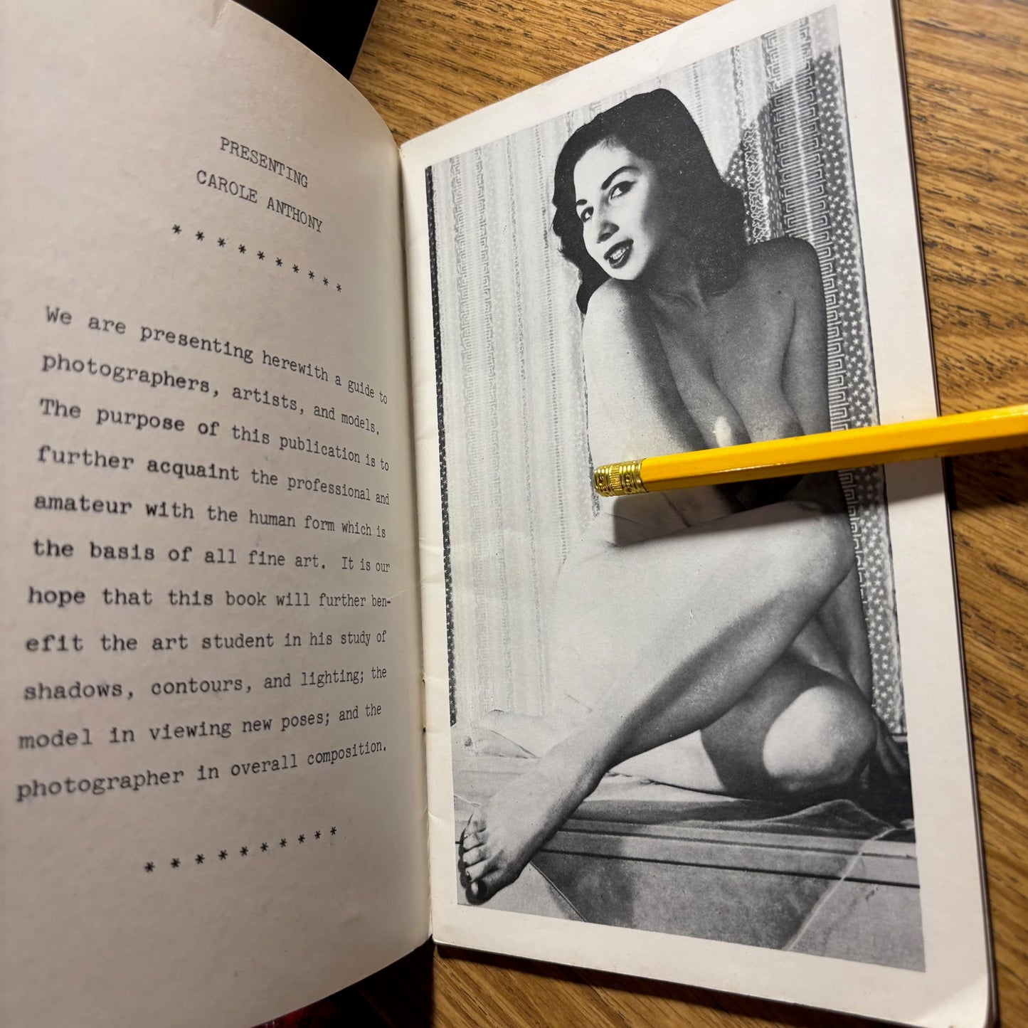 A Daring Figure: A Photographers Guide in Modeling: Special Edition: The Enchanting Carole Anthony