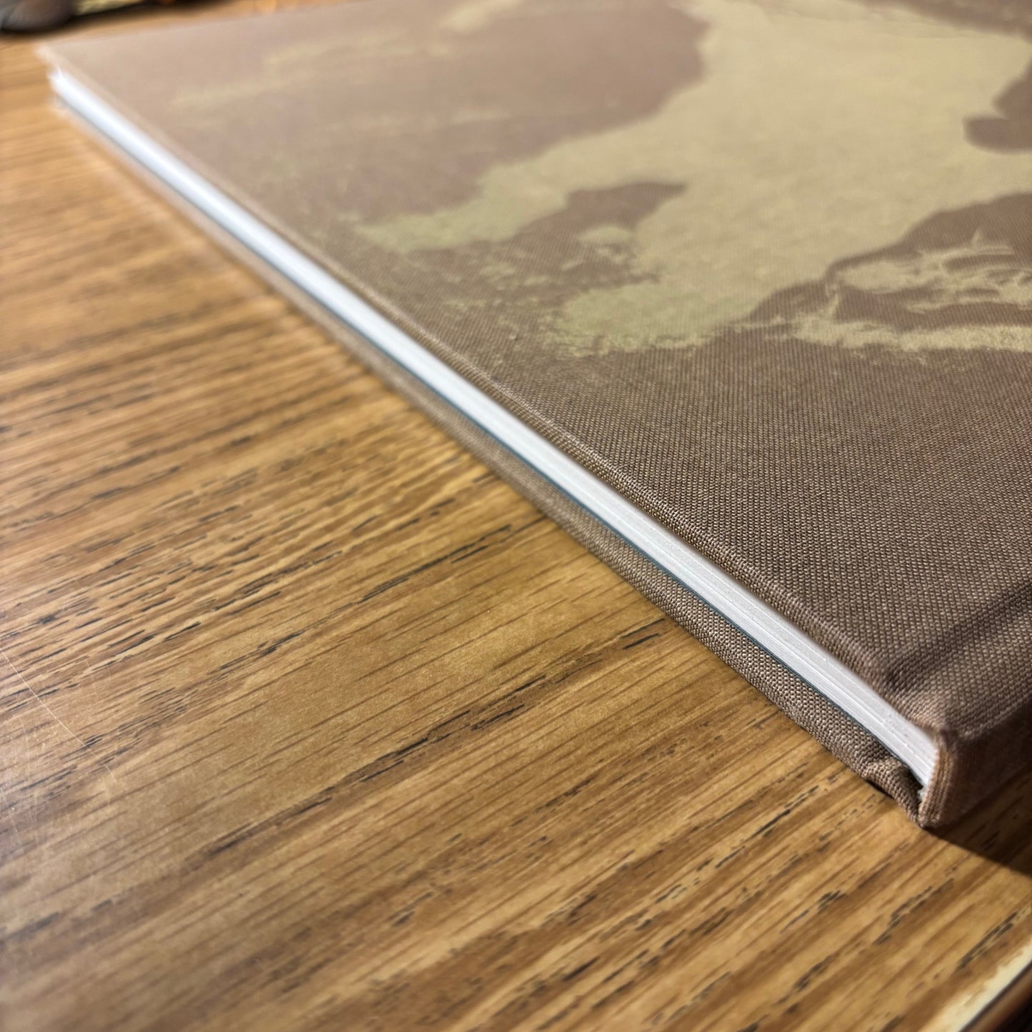 Morgan Ashcom - Leviathan - Signed First Edition