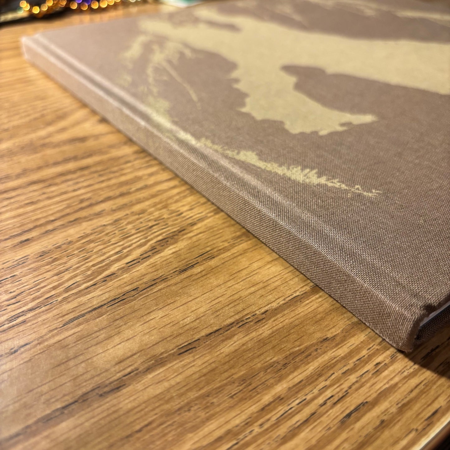 Morgan Ashcom - Leviathan - Signed First Edition