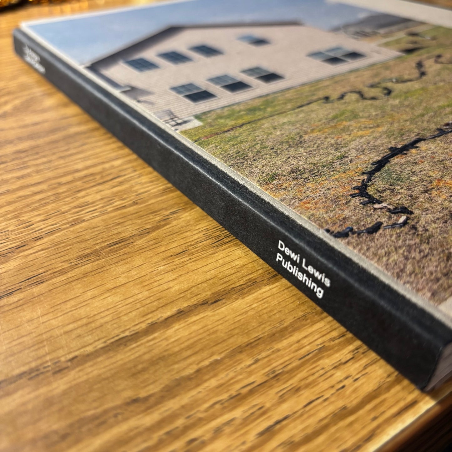 Gabriele Galimberti - The Ameriguns - First Edition