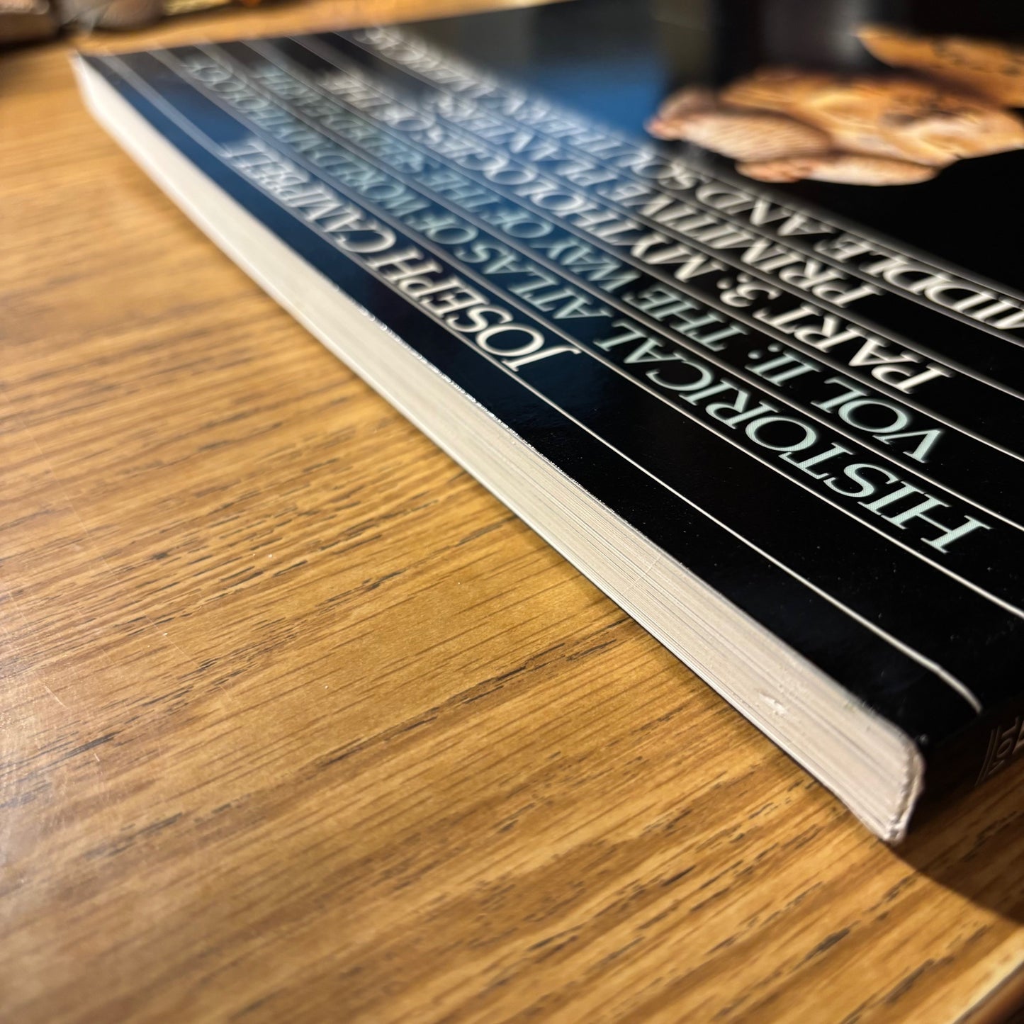 Joseph Campbell - Historical Atlas of World Mythology, Vol. II: The Way of the Seeded Earth, Part 3: Mythologies of the Primitive Planters: The Middle and Southern Americas - First Edition Paperback