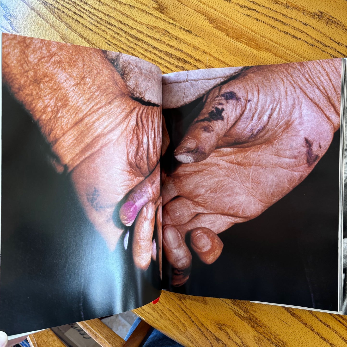 Anthony Quinn's Eye - Signed by Katherine Quinn