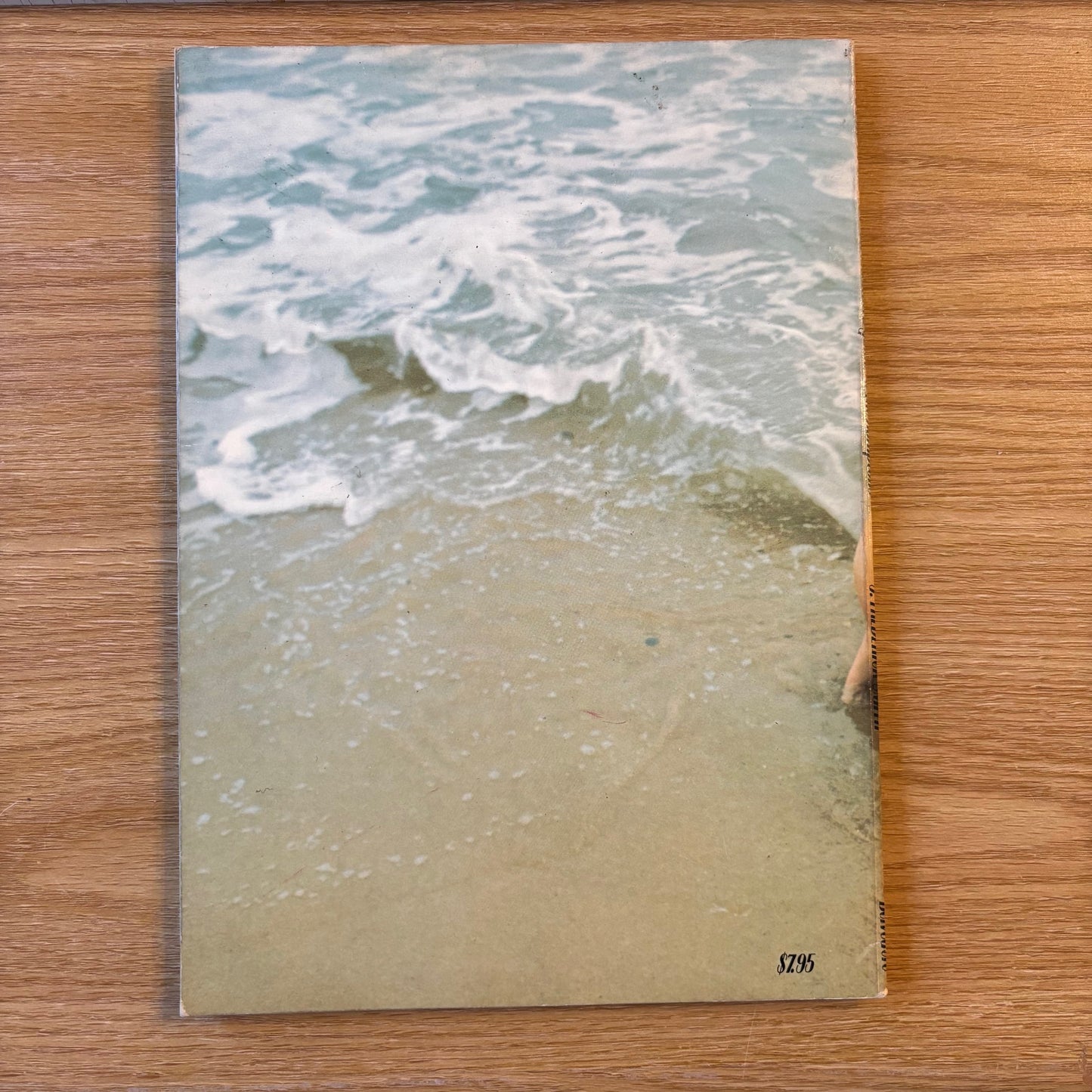 Mary Arrigan McCarthy, J. Frederick Smith - Sappho by the Sea: An Illustrated Guide to the Hamptons
