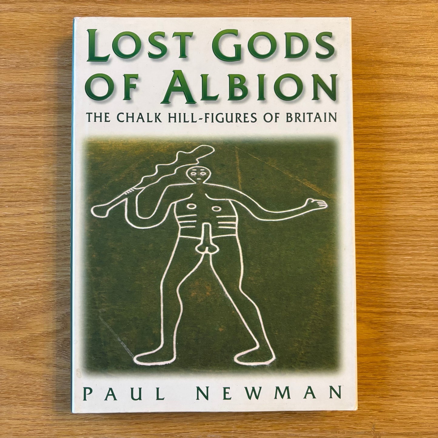 Paul Newman - Lost Gods of Albion: The Chalk Hill-Figures of Britain