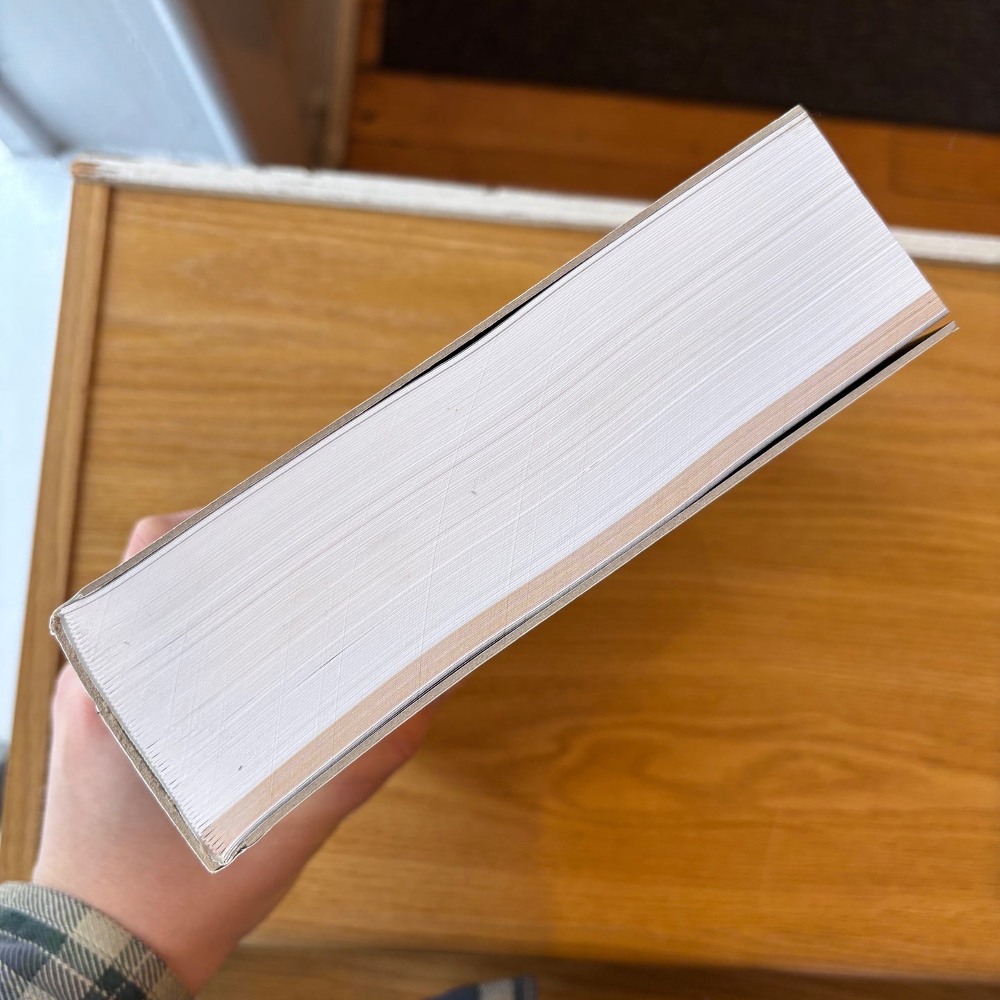 Raymond Pettibon - Homo Americanus: Collected Works - First Edition