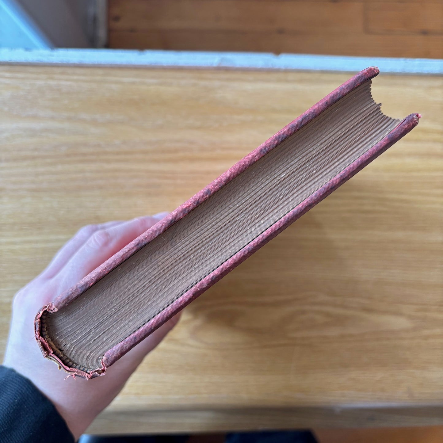 Edgar Allan Poe - The Poetical Works - Antiquarian 1889 Edition