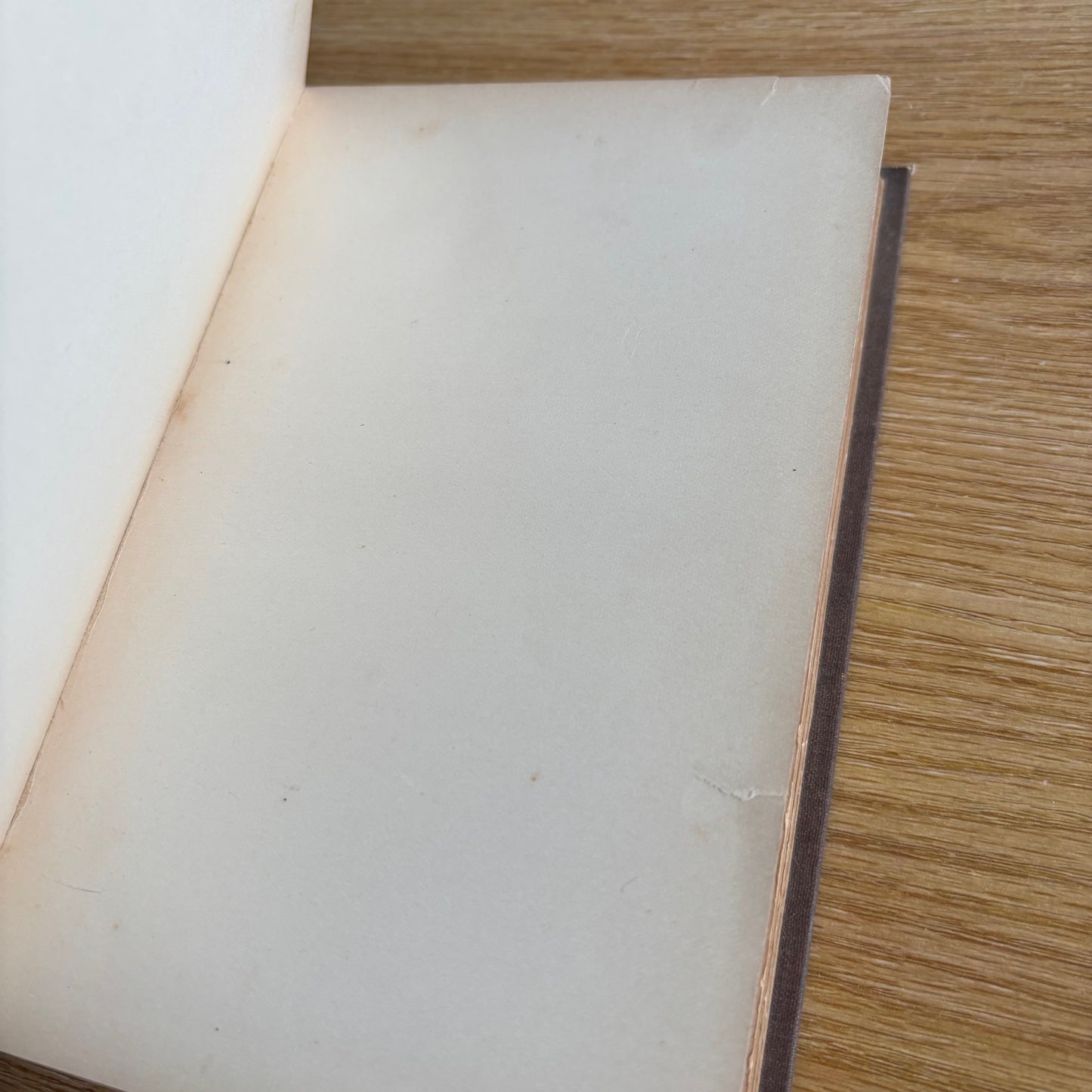 Caesar Lombroso & William Ferrero - The Female Offender - First Edition