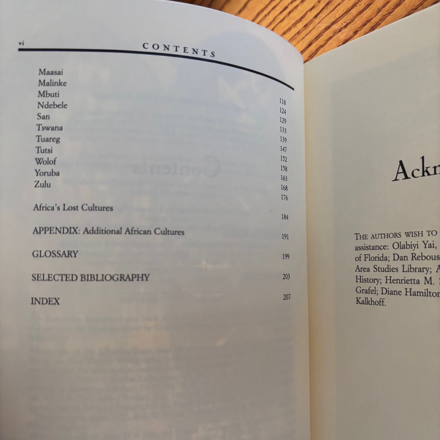 Jim Haskins & Joann Biondi - From Afar to Zulu: A Dictionary of African Cultures - First Edition Paperback