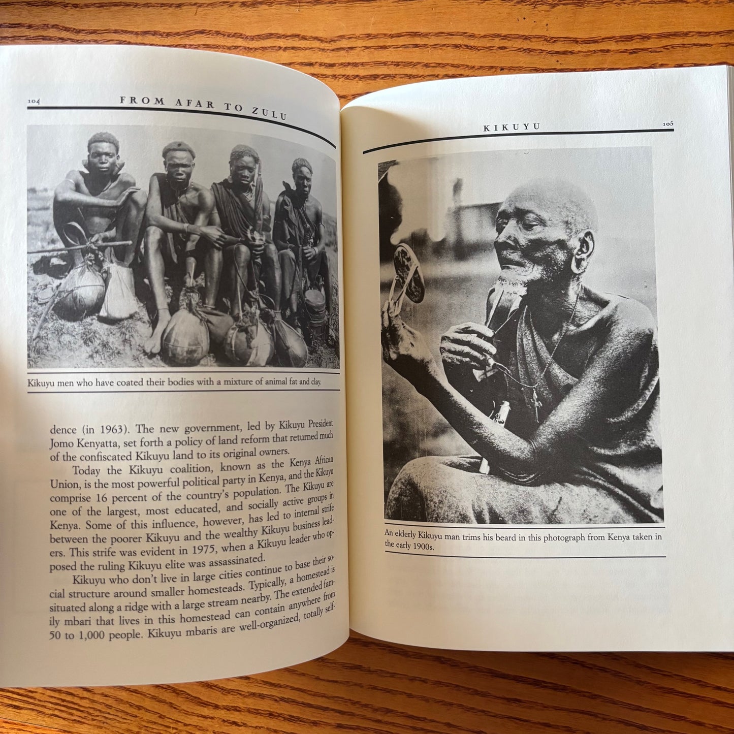 Jim Haskins & Joann Biondi - From Afar to Zulu: A Dictionary of African Cultures - First Edition Paperback