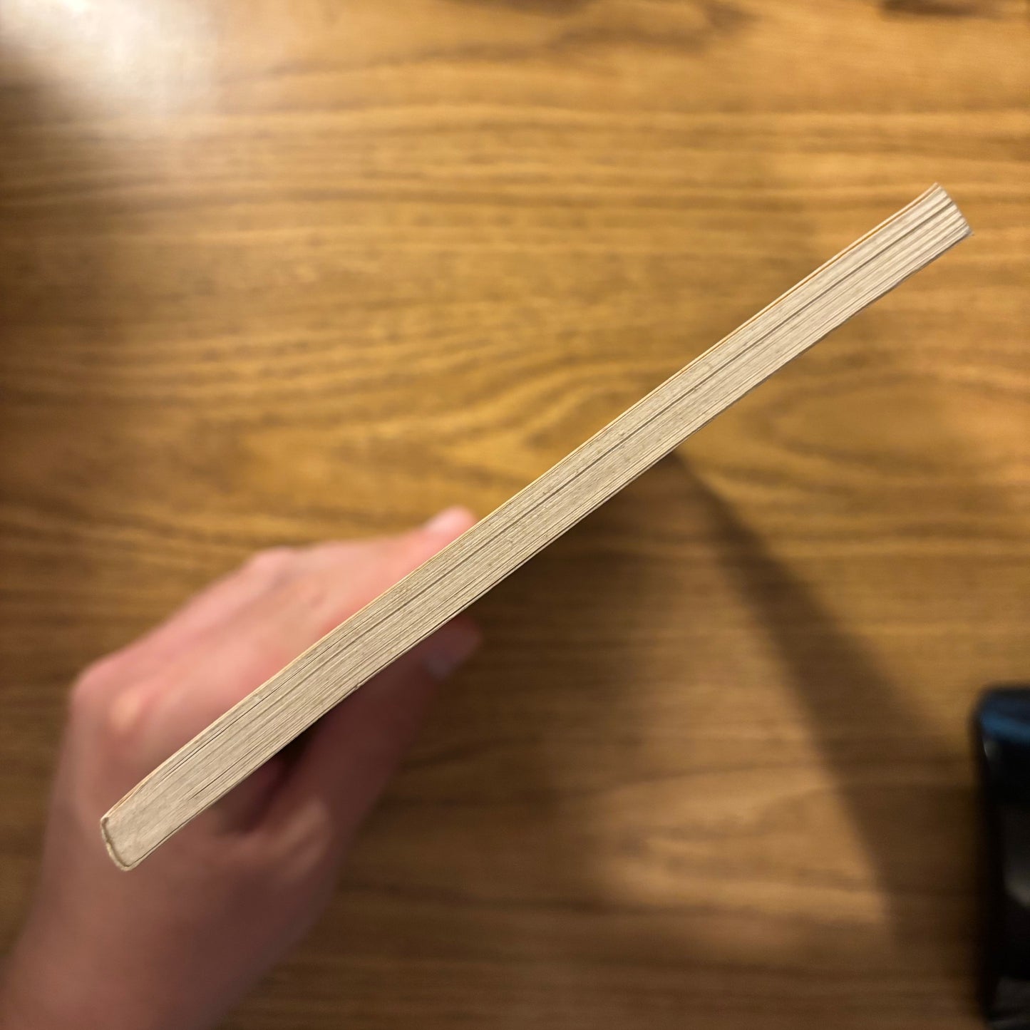 Ai - Fate - First Edition Paperback