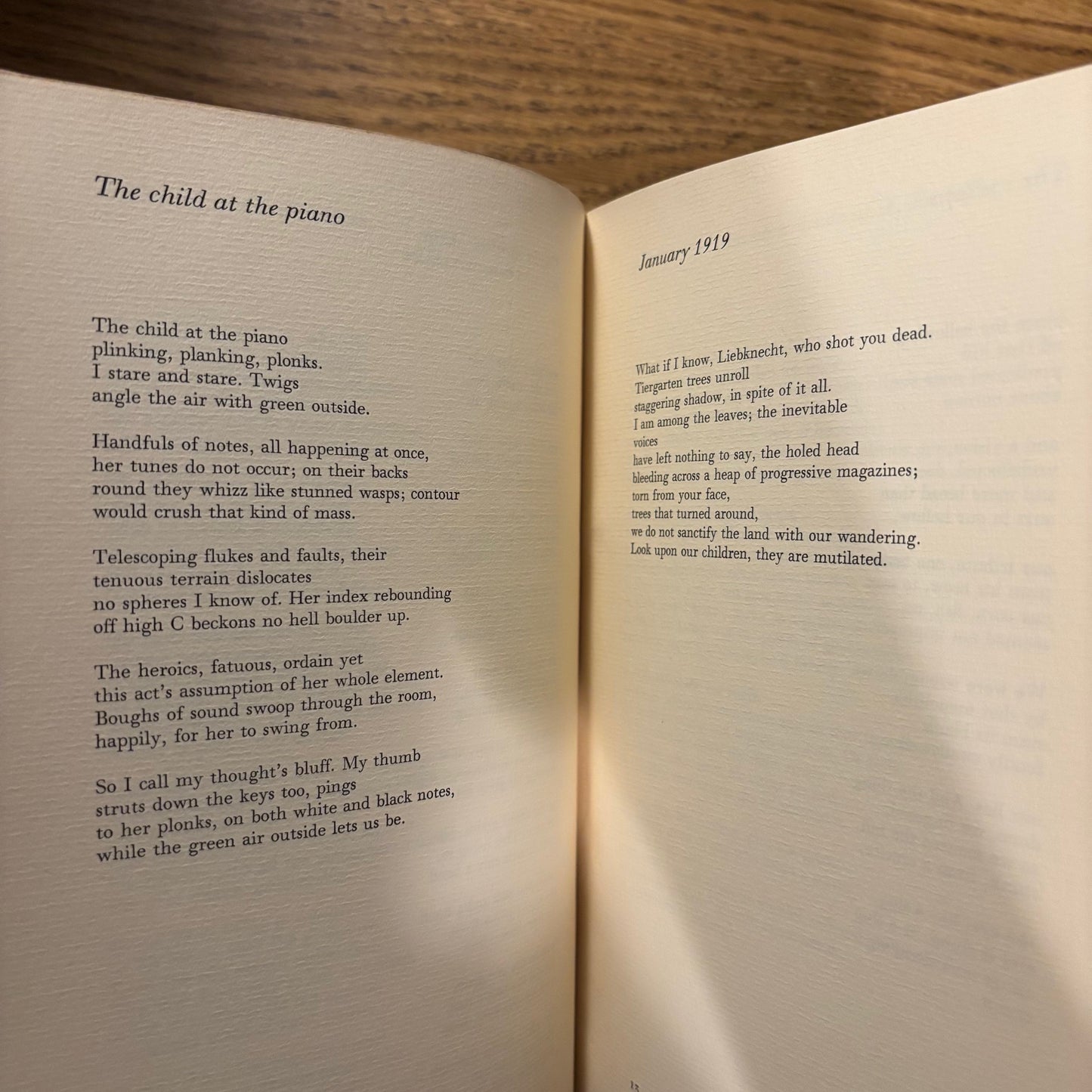 Christopher Middleton - Nonsequences: Selfpoems - First Edition Paperback
