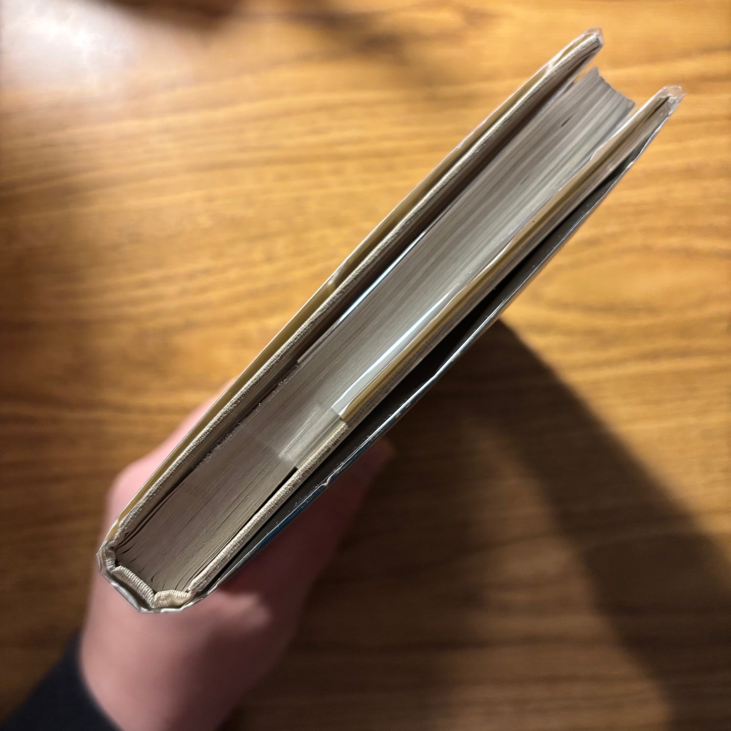 Joseph Kozenczak & Karen Henrikson - A Passing Acquaintance - Signed First Edition