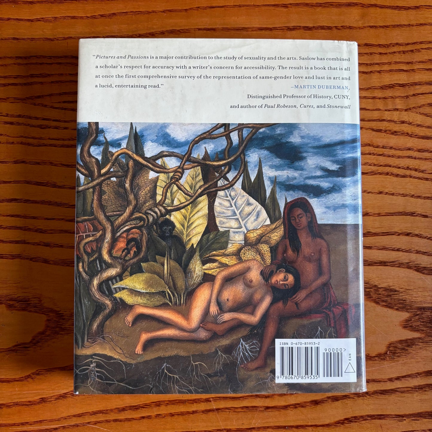 James M. Saslow - Pictures and Passions: A History of Homosexuality in the Visual Arts - First Edition