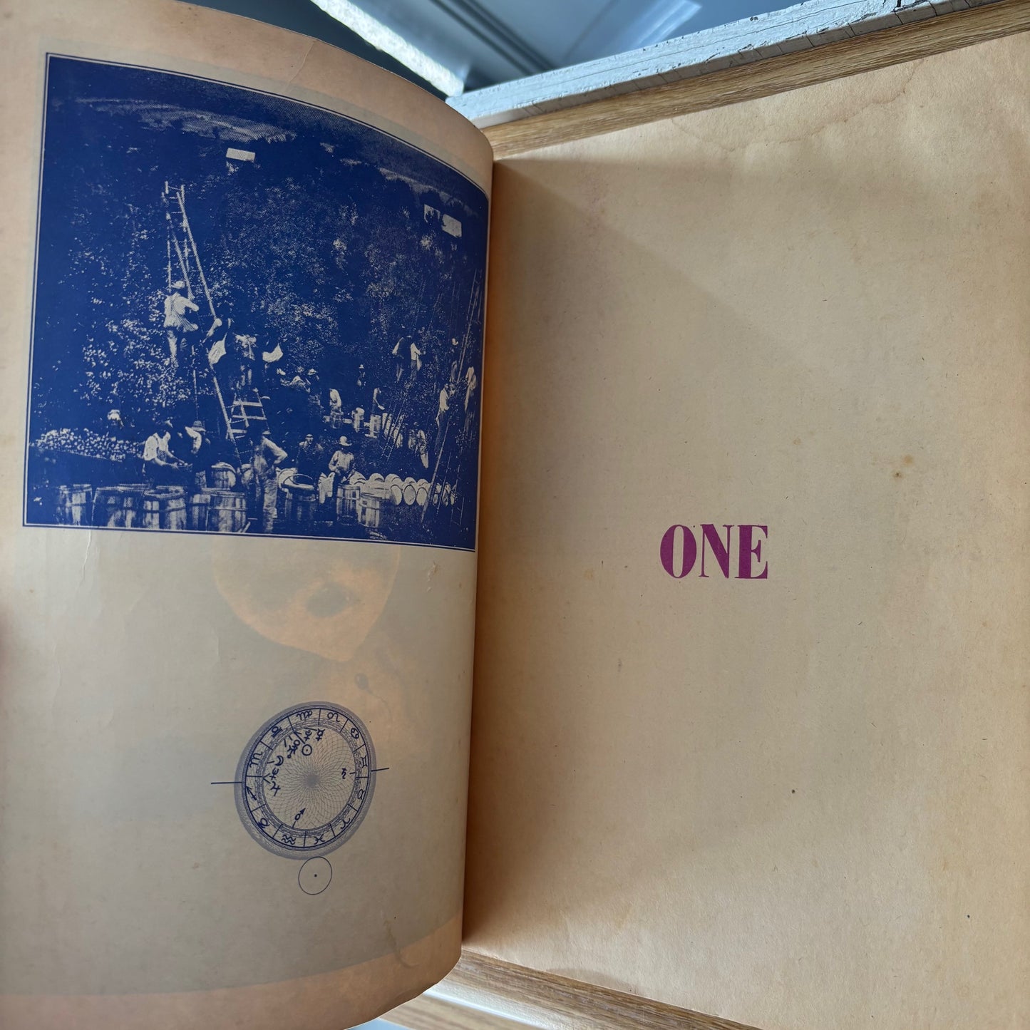 Canadian Whole Earth Almanac Vol. 2 No. 3 (1971)