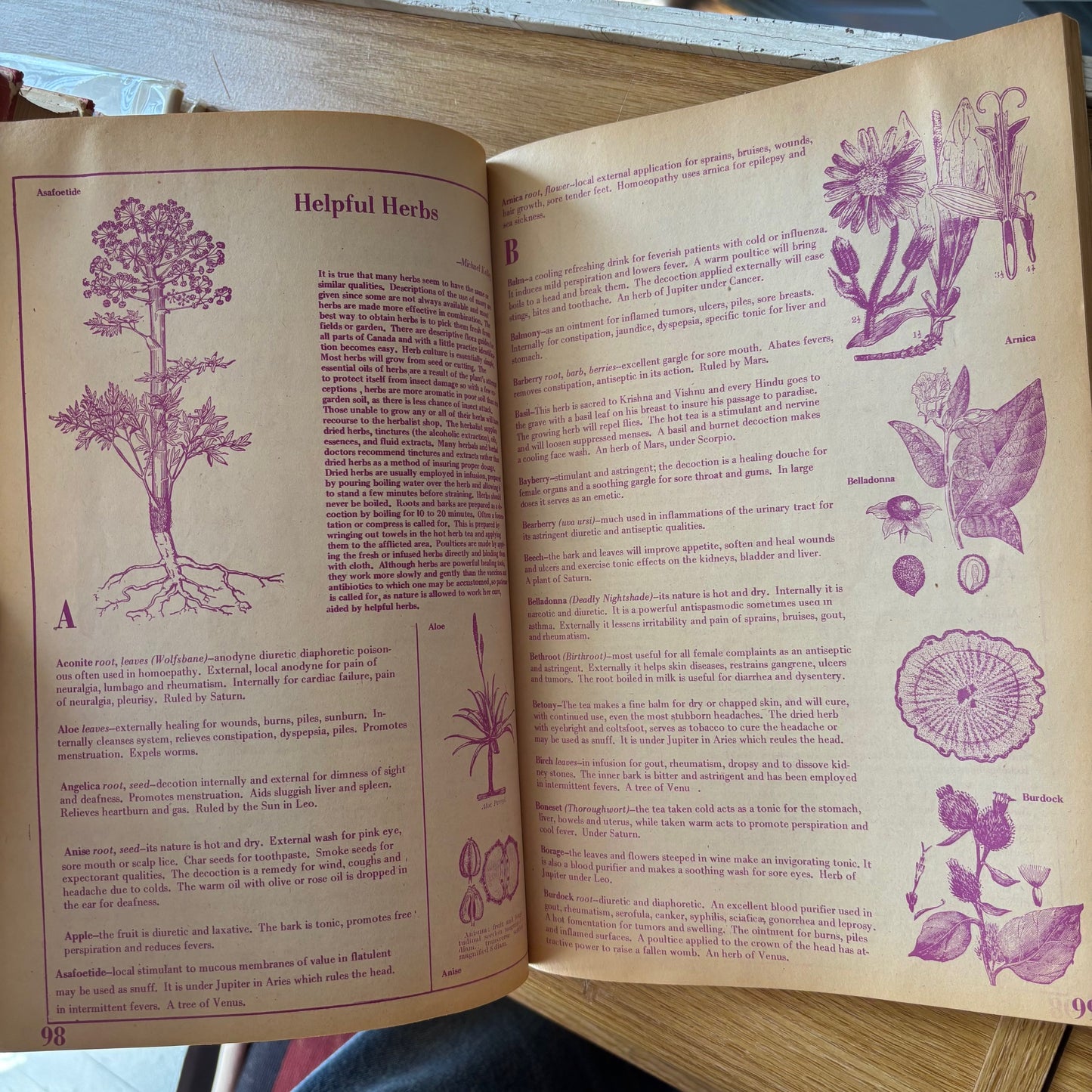 Canadian Whole Earth Almanac Vol. 2 No. 3 (1971)