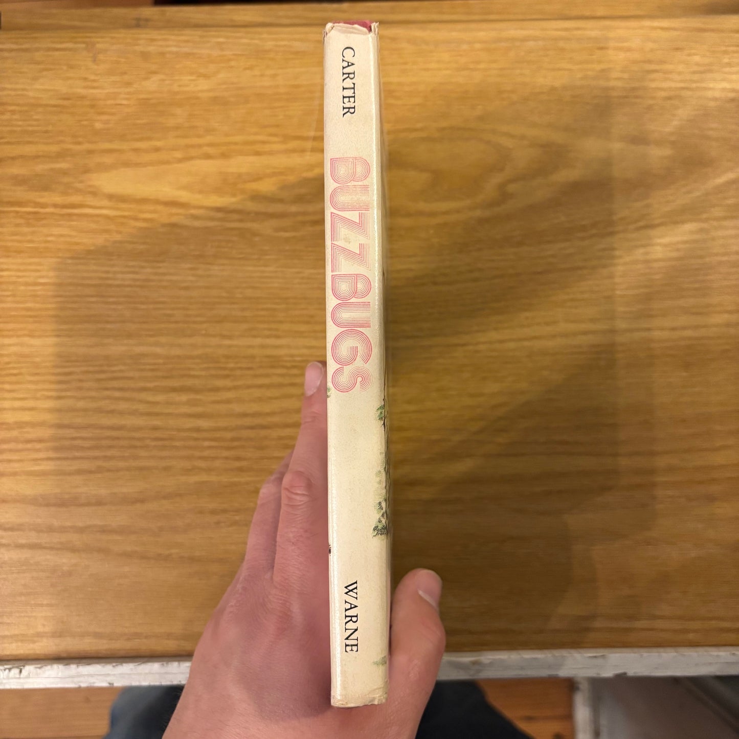 Bruce Carter - Buzzbugs - First Edition