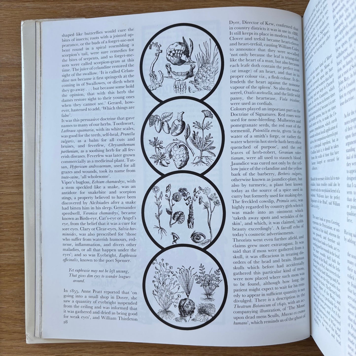Lesley Gordon - Green Magic: Flowers, Plants & Herbs in Lore & Legend - First Edition