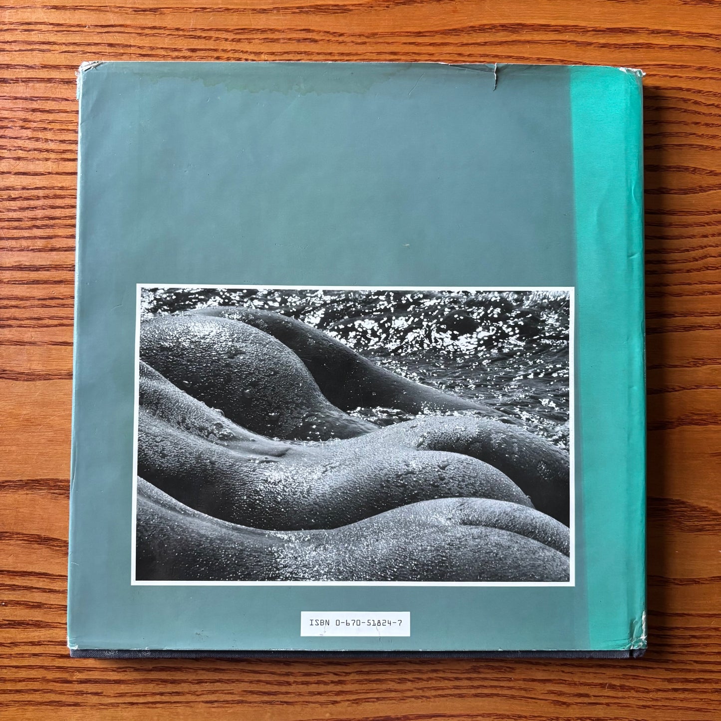 Lucien Clergue - Nude Workshop