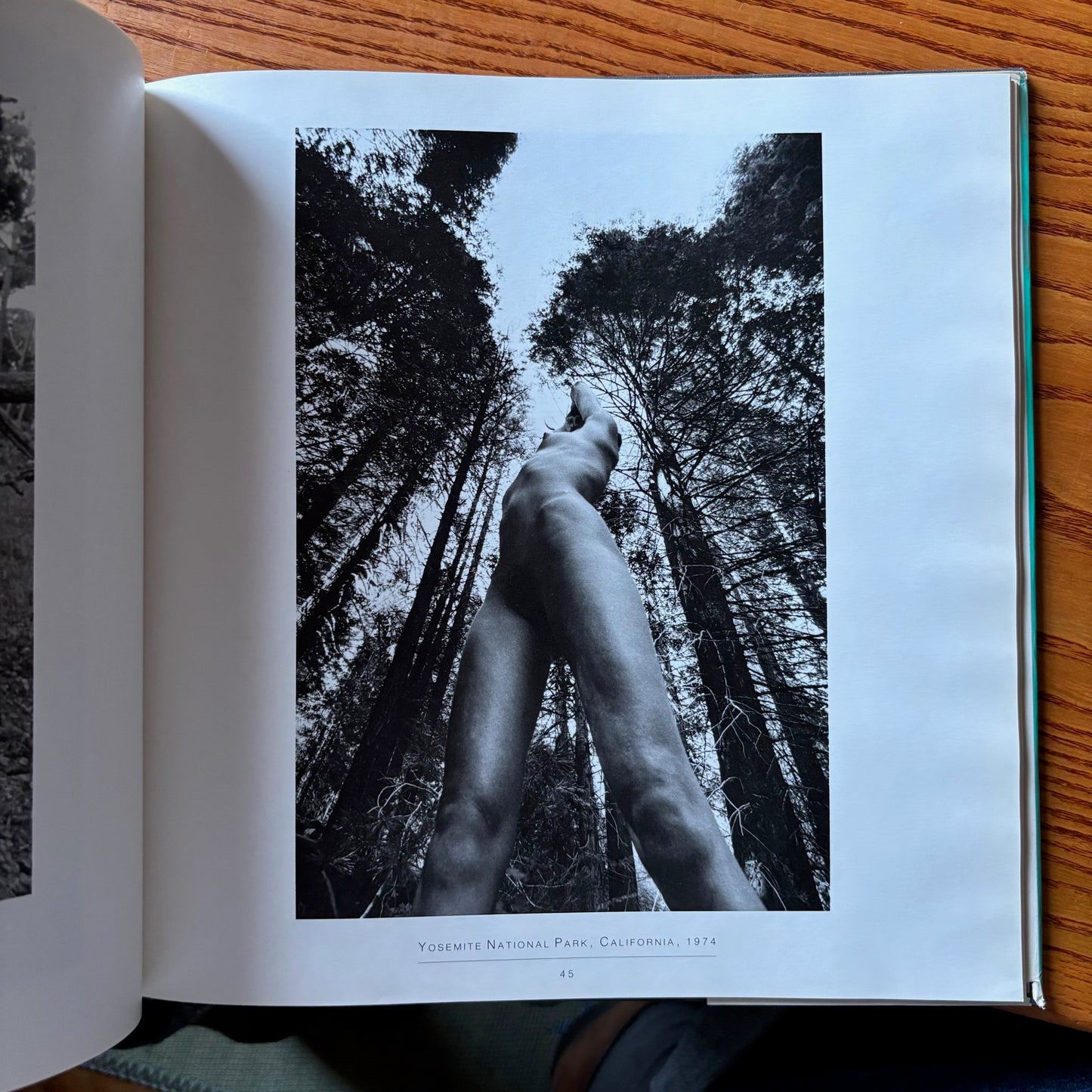 Lucien Clergue - Nude Workshop