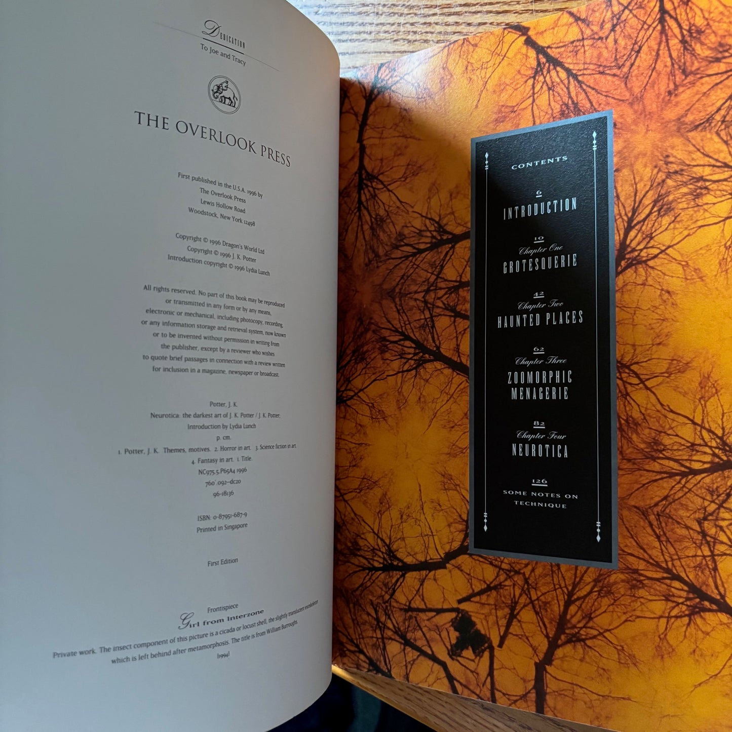Neurotica: The Darkest Art of J.K. Potter - First Edition