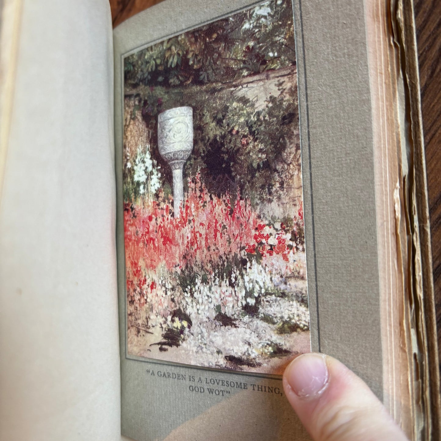 M.W.G. Wilson - Garden Memories