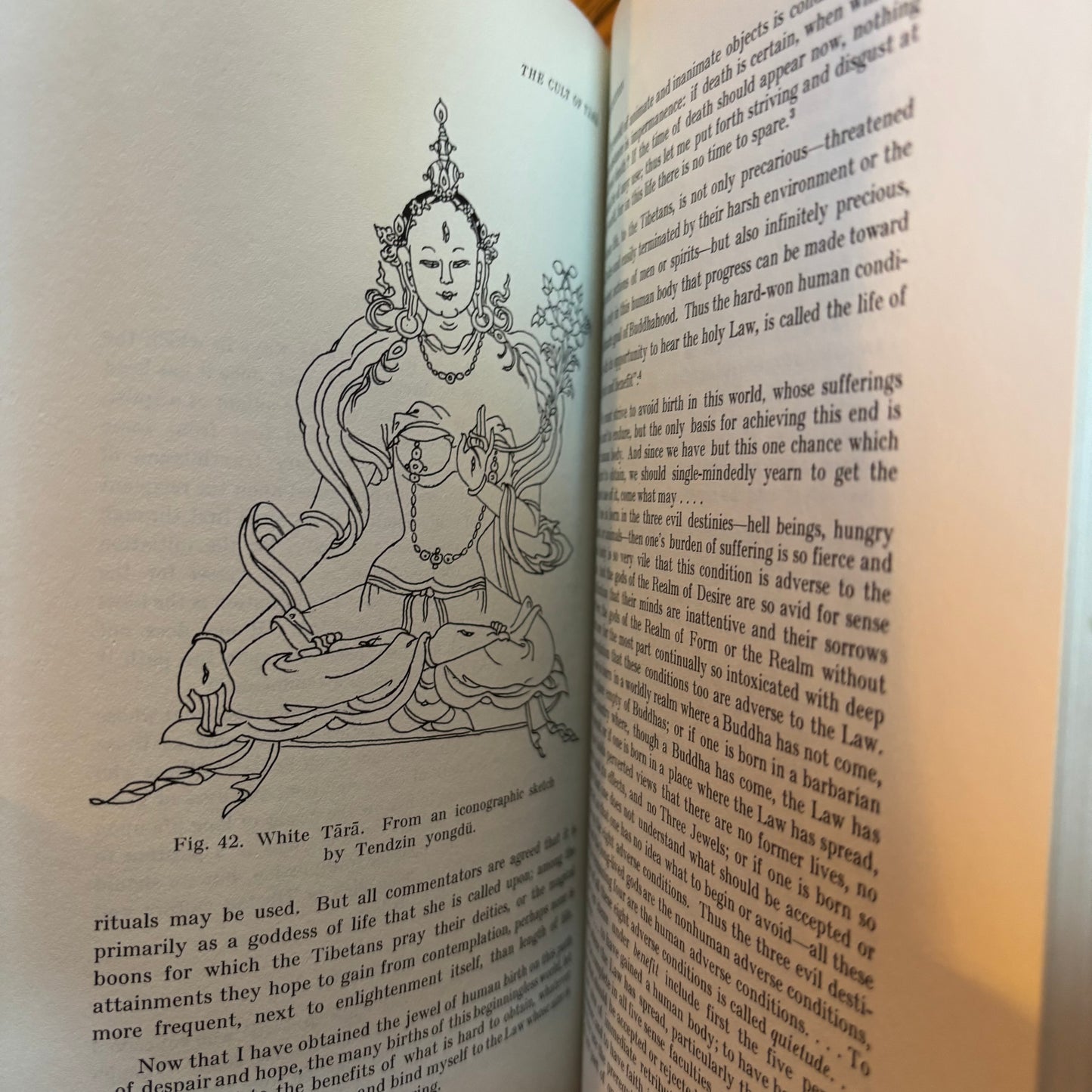 Stephan Beyer - The Cult of Tārā: Magic and Ritual in Tibet