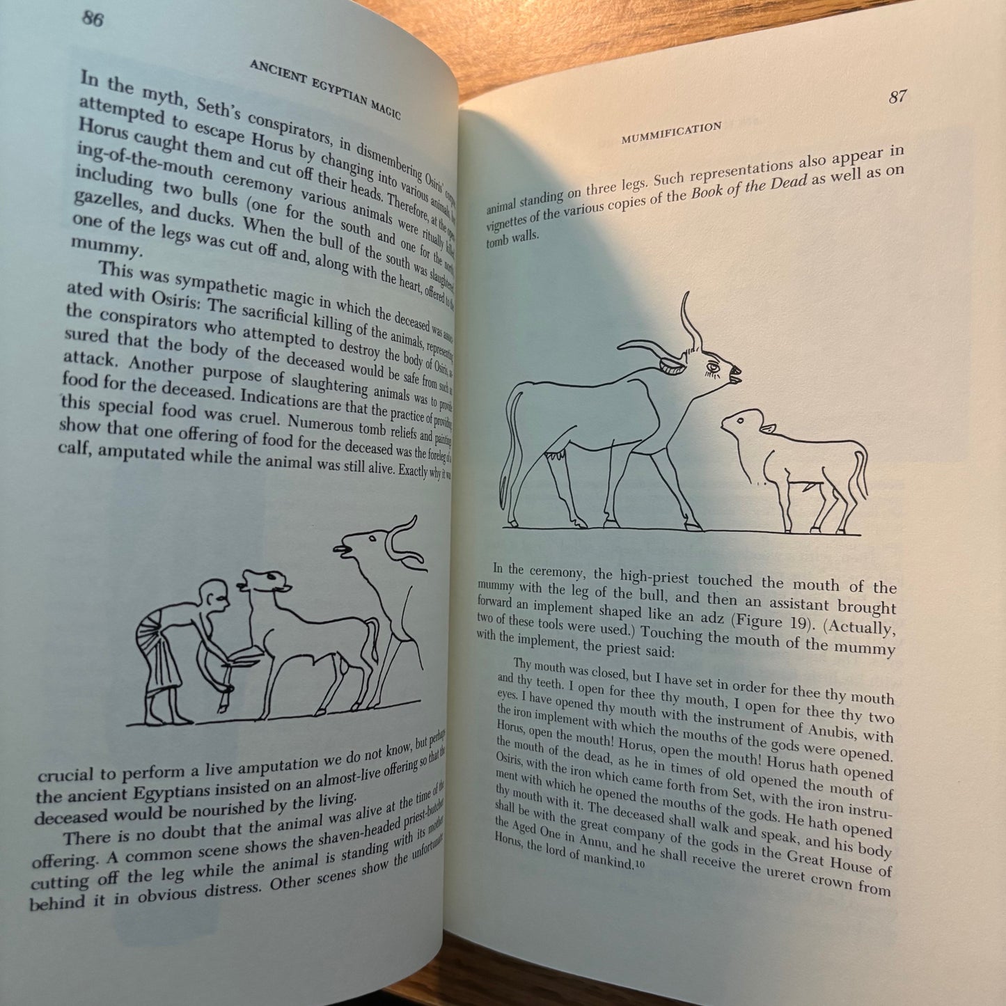 Bob Brier - Ancient Engyptian Magic - Signed First Edition & Trade Paperback