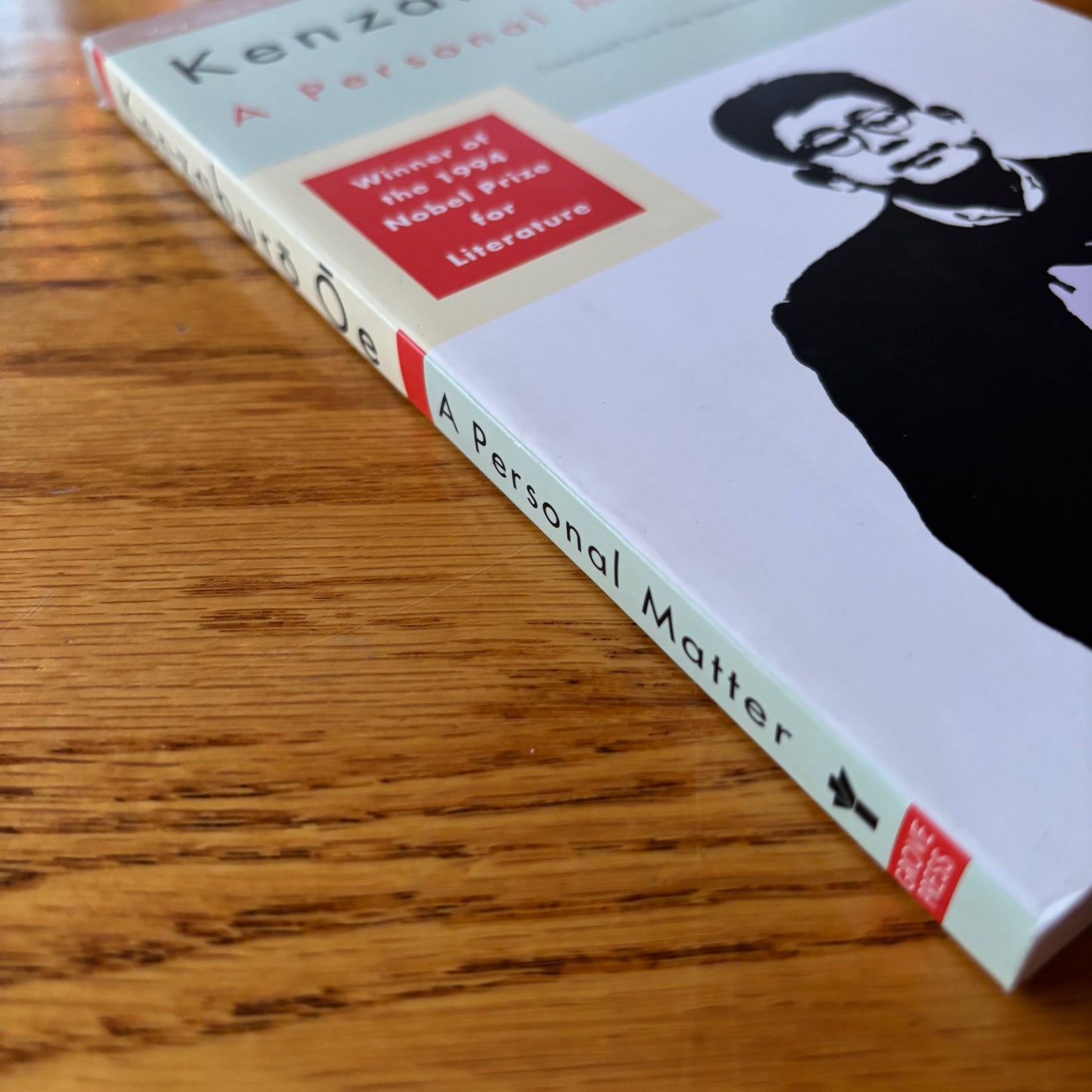 Kenzaburo Oe - A Personal Matter