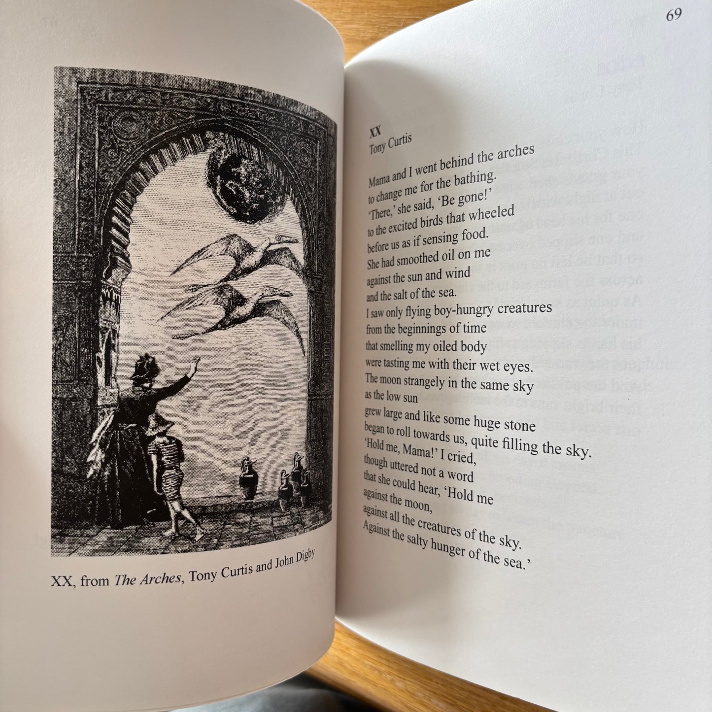 Joan Digby, ed. - Birds: A Flight of Poems - Limited Edition