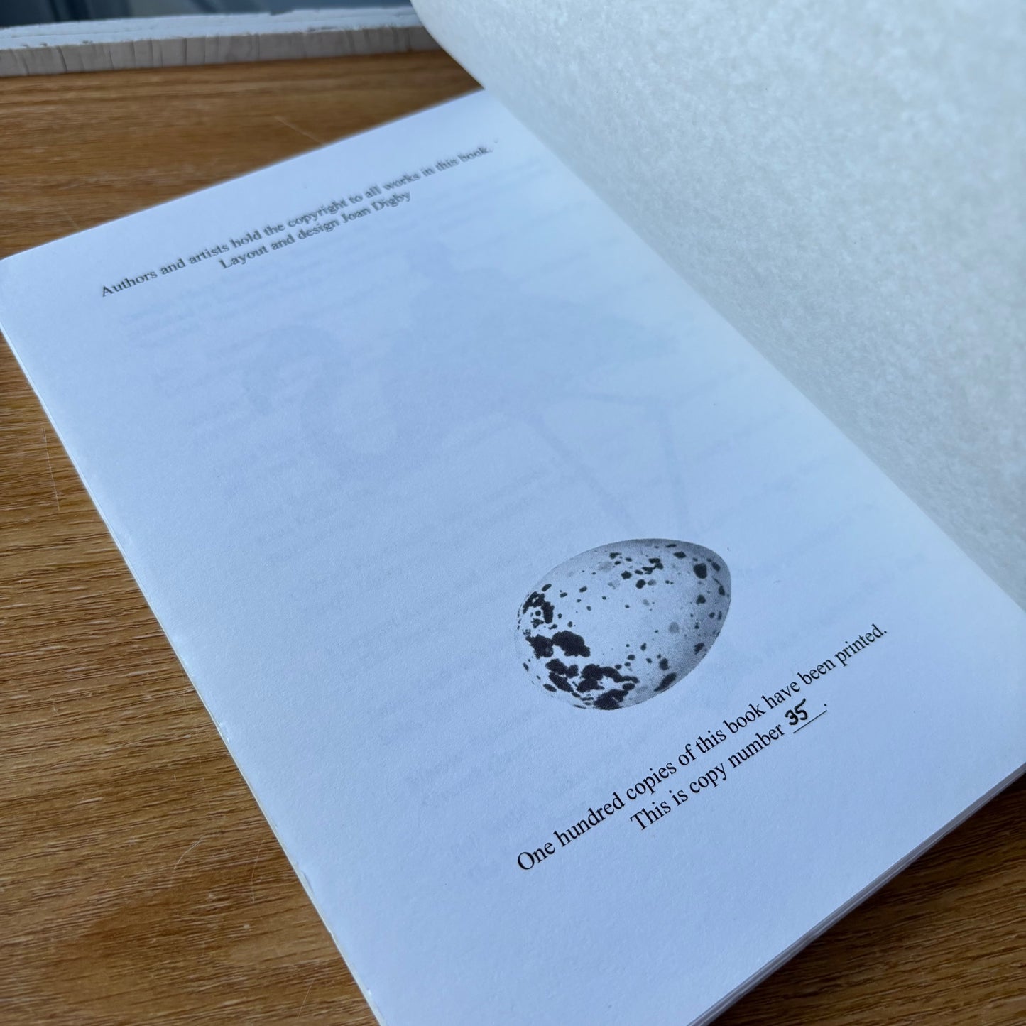 Joan Digby, ed. - Birds: A Flight of Poems - Limited Edition
