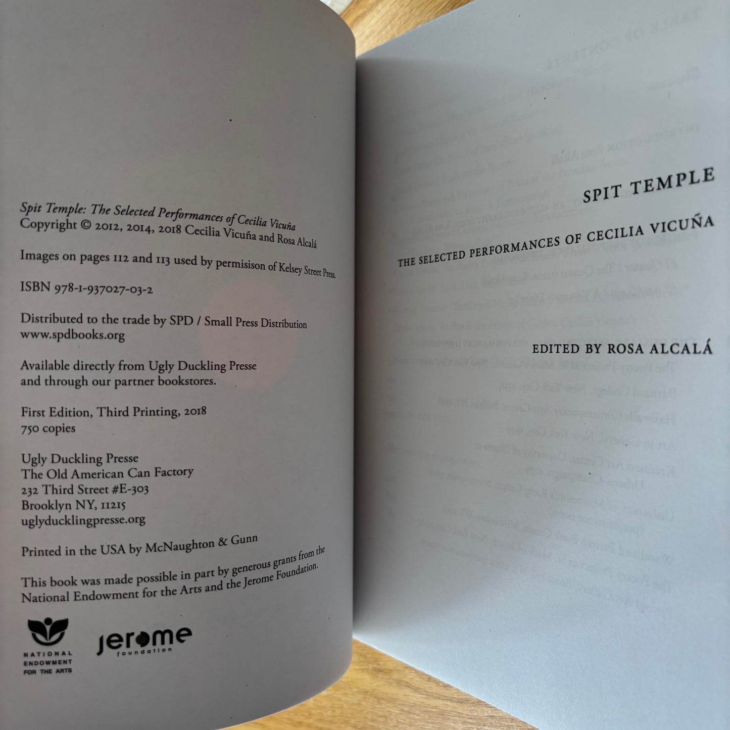 Cecilia Vicuña - Spit Temple: The Selected Performances