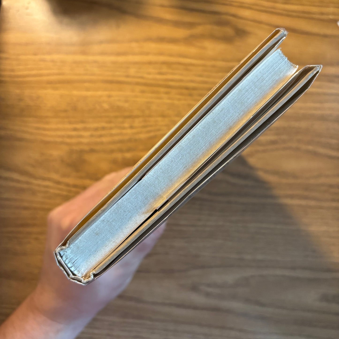 Philip K. Dick - A Scanner Darkly - First Edition