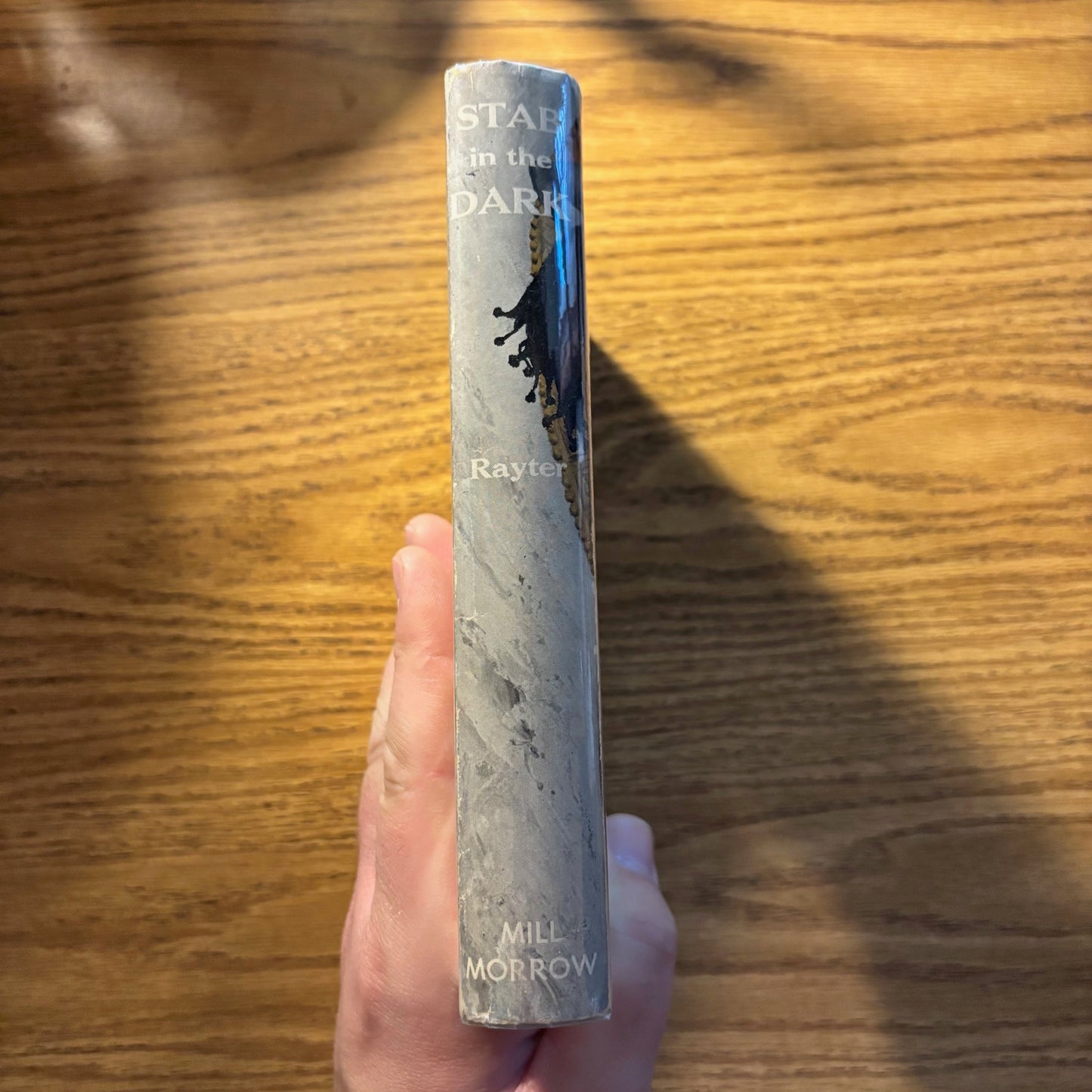 (Mary Fuller McChesney) Joe Rayter - Stab in the Dark - First Edition