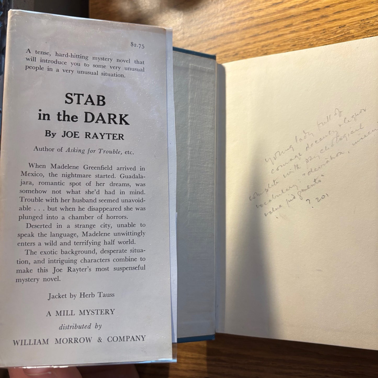(Mary Fuller McChesney) Joe Rayter - Stab in the Dark - First Edition