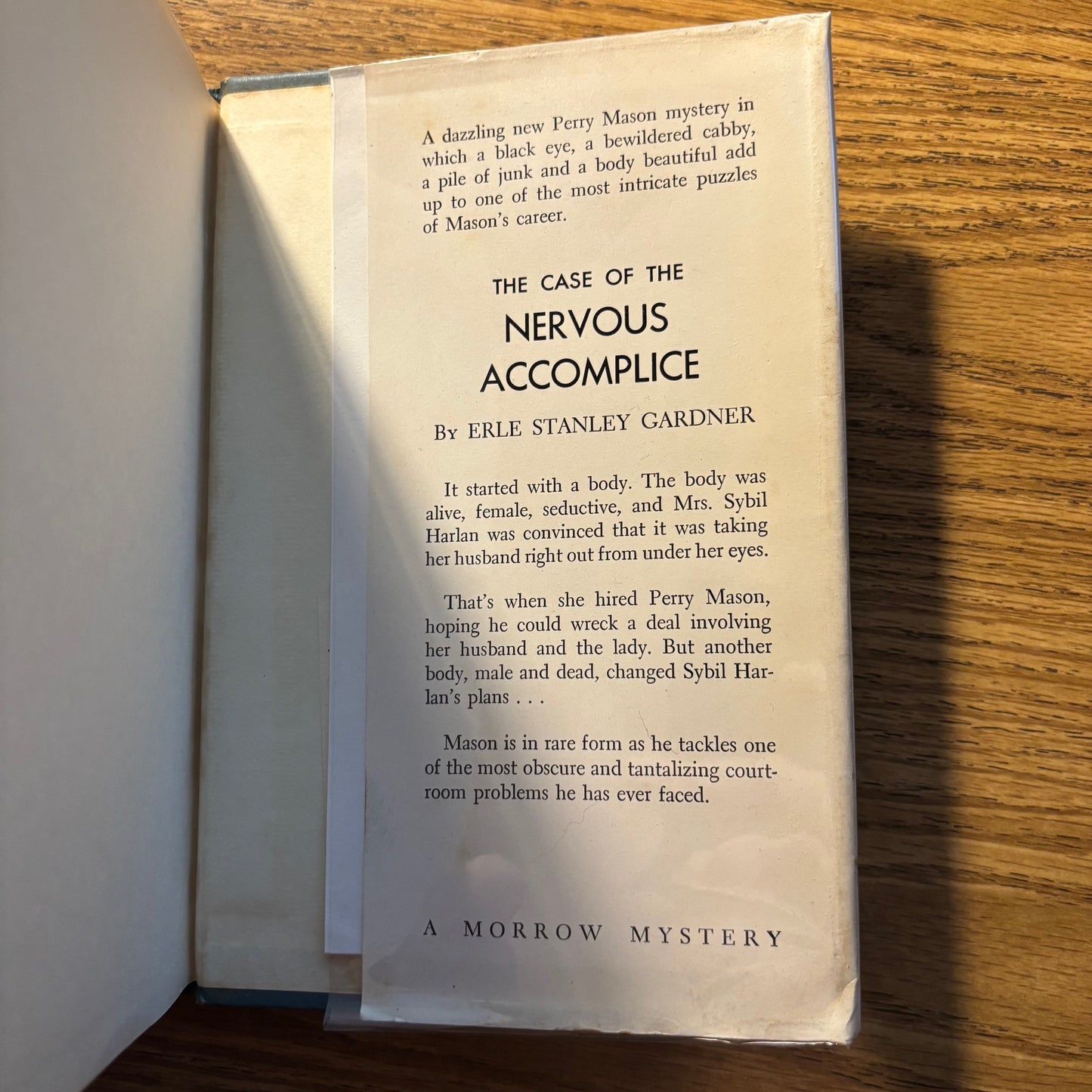 (Mary Fuller McChesney) Joe Rayter - Stab in the Dark - First Edition
