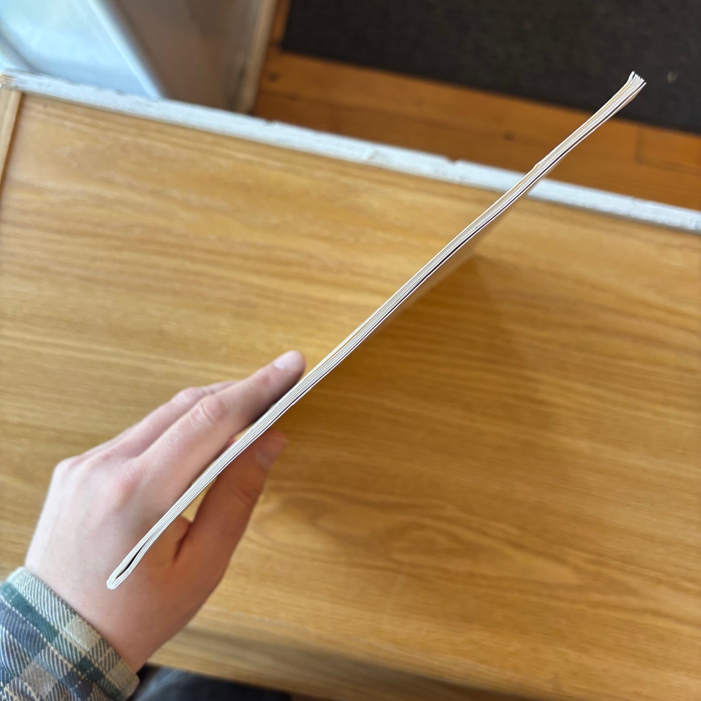 Charles Bernstein & Susan Bee - Log Rhythms - Signed First Edition