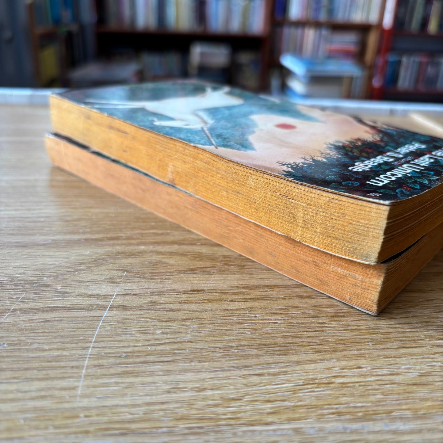 Peter S. Beagle - The Last Unicorn - First Edition Paperback