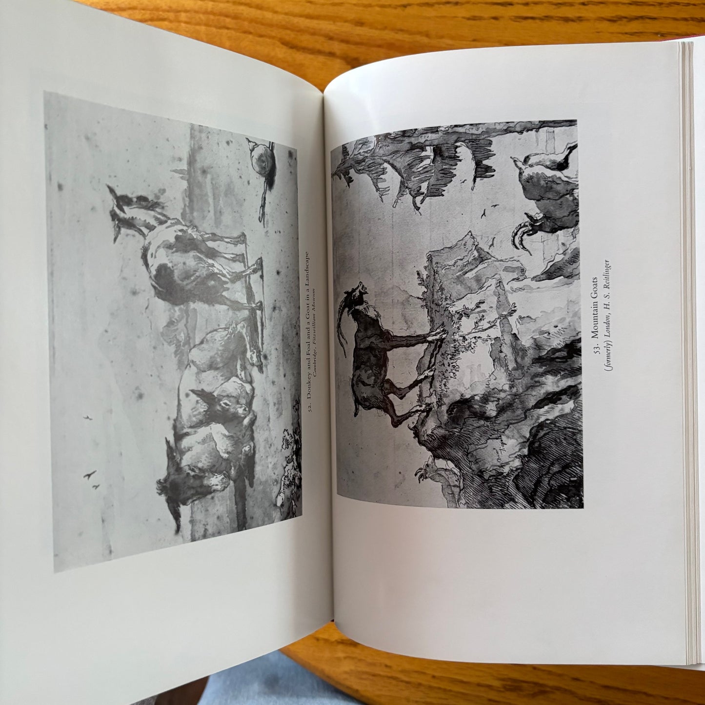 J. Byam Shaw - The Drawings of Domenico Tiepolo