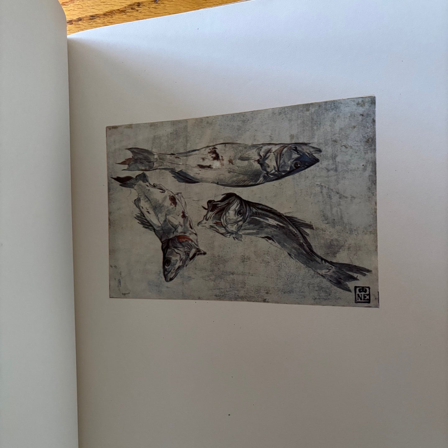 Lajos Vayer - Master Drawings from the Collection of the Budapest Museum of Fine Arts 14th-18th Centuries