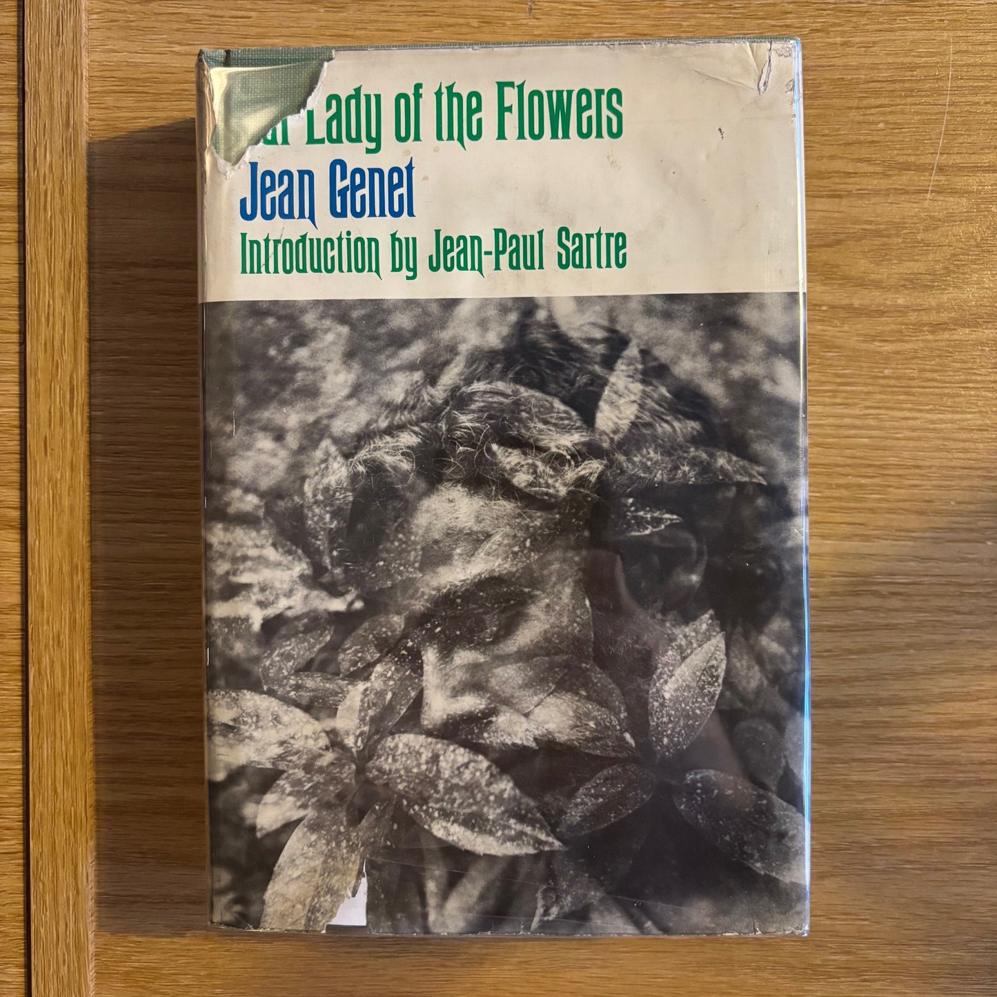 Jean Genet - Our Lady of the Flowers