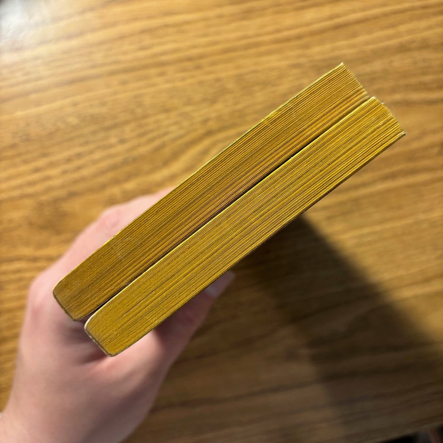 Ray Bradbury - The Halloween Tree - First Edition Paperback