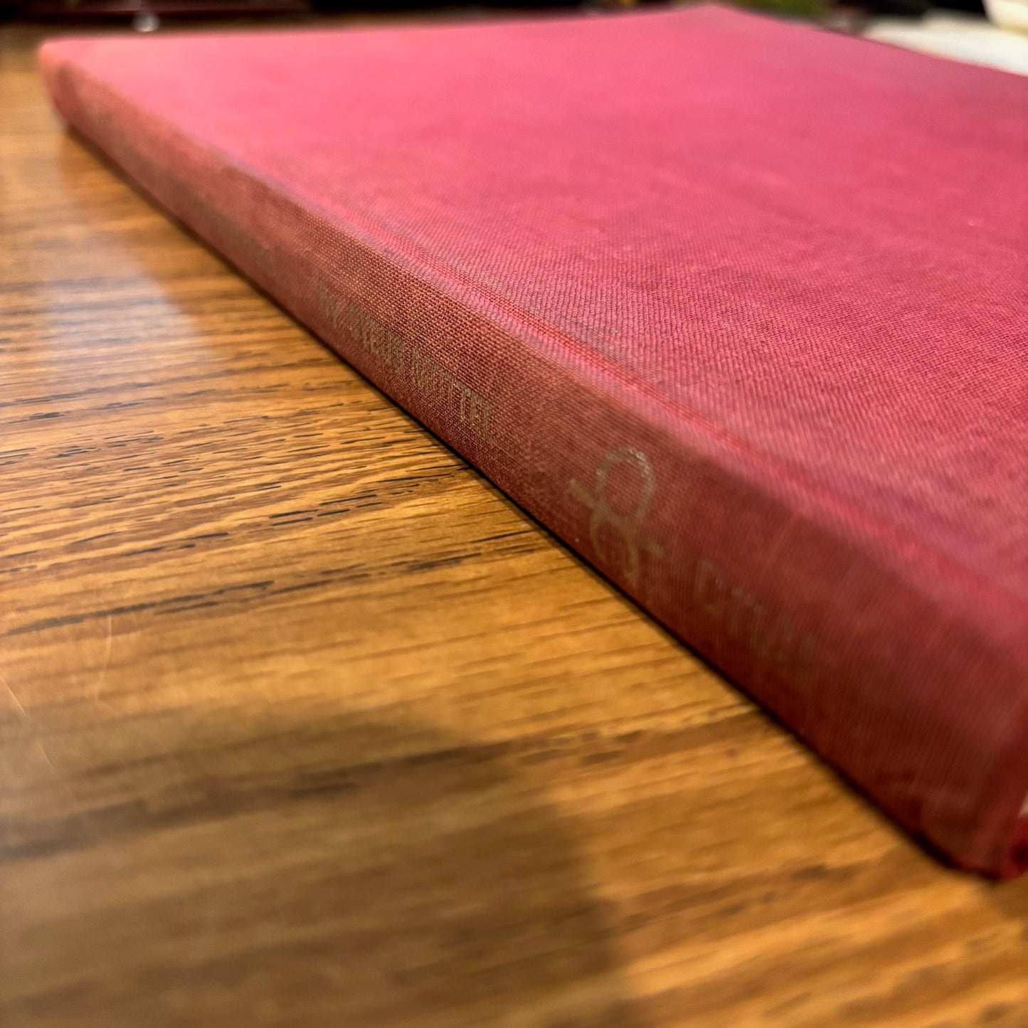 Syeus Mottel - Charas: The Improbable Dome Builders - First Edition