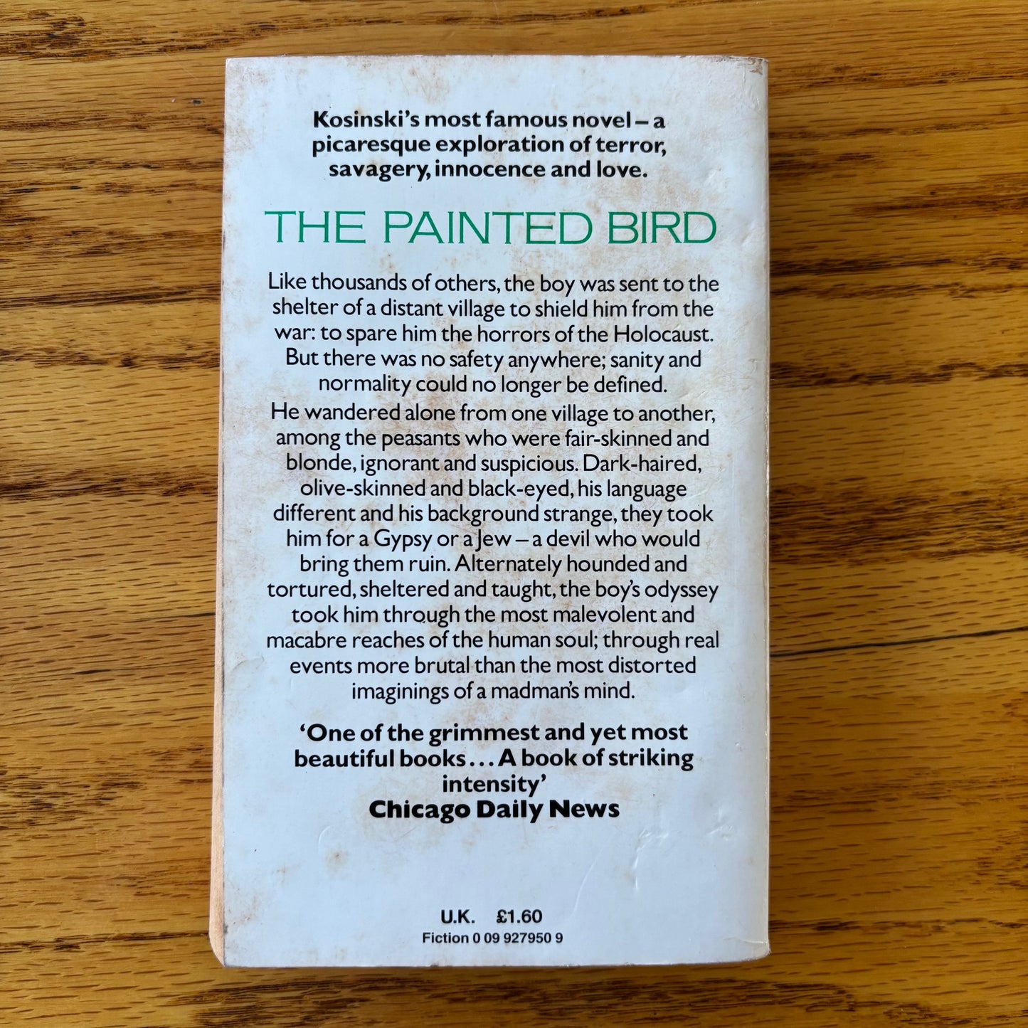 Jerzy Kosinski - The Painted Bird