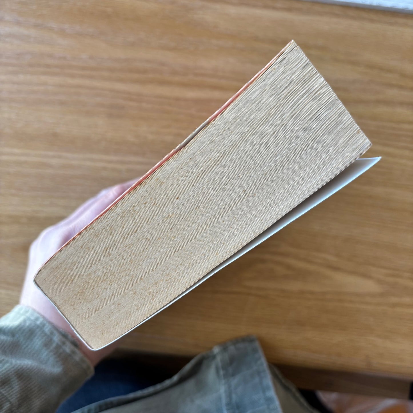 Roberto Bolaño - 2666 - First Edition Paperback